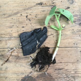 20L BIOCHAR, Gardening Plant Charcoal, NOT FOR COOKING